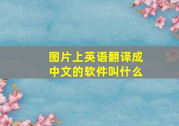 图片上英语翻译成中文的软件叫什么