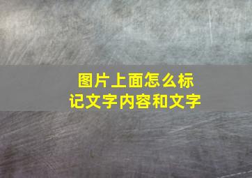 图片上面怎么标记文字内容和文字