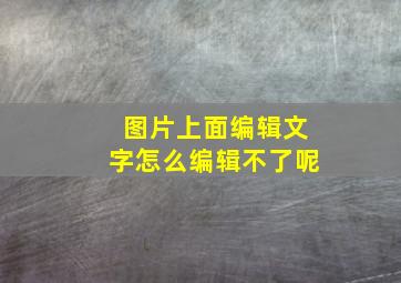 图片上面编辑文字怎么编辑不了呢