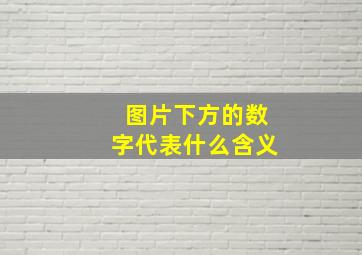 图片下方的数字代表什么含义