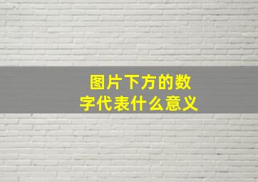 图片下方的数字代表什么意义