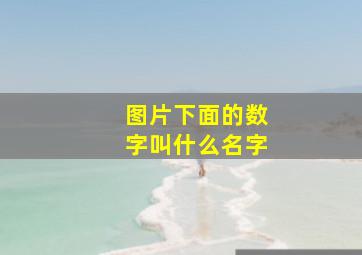 图片下面的数字叫什么名字