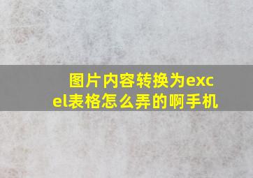 图片内容转换为excel表格怎么弄的啊手机