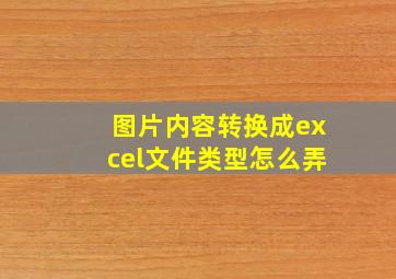 图片内容转换成excel文件类型怎么弄