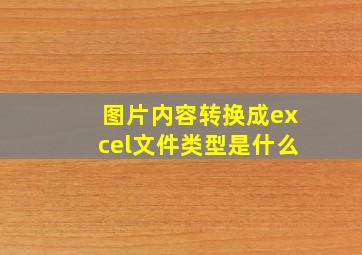 图片内容转换成excel文件类型是什么