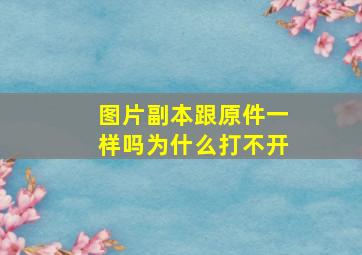 图片副本跟原件一样吗为什么打不开