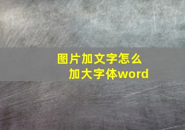 图片加文字怎么加大字体word