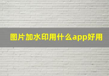 图片加水印用什么app好用