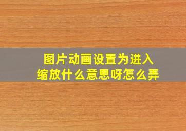 图片动画设置为进入缩放什么意思呀怎么弄