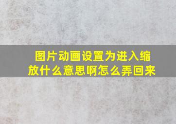 图片动画设置为进入缩放什么意思啊怎么弄回来