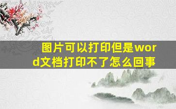 图片可以打印但是word文档打印不了怎么回事