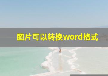 图片可以转换word格式