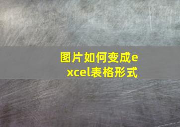 图片如何变成excel表格形式