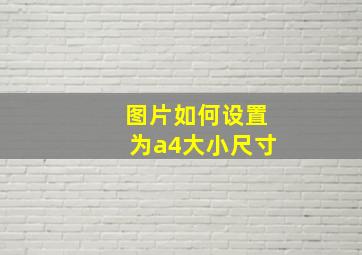 图片如何设置为a4大小尺寸