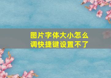 图片字体大小怎么调快捷键设置不了