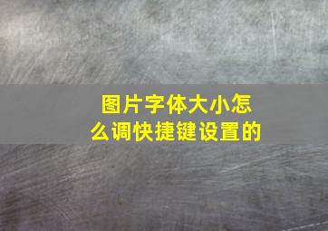 图片字体大小怎么调快捷键设置的