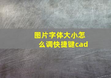 图片字体大小怎么调快捷键cad