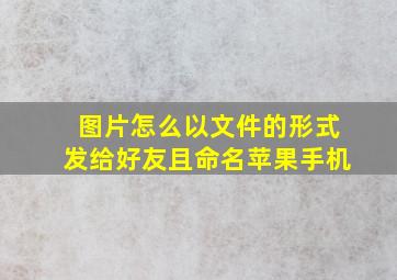 图片怎么以文件的形式发给好友且命名苹果手机