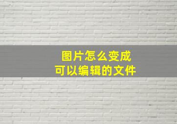 图片怎么变成可以编辑的文件