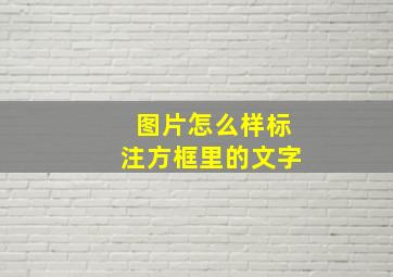 图片怎么样标注方框里的文字