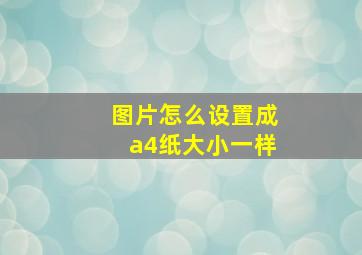 图片怎么设置成a4纸大小一样