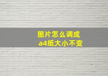 图片怎么调成a4纸大小不变