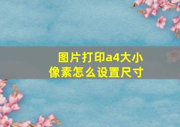 图片打印a4大小像素怎么设置尺寸