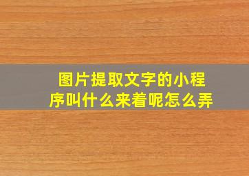 图片提取文字的小程序叫什么来着呢怎么弄