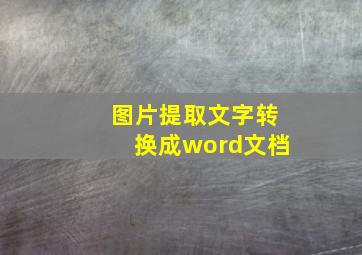 图片提取文字转换成word文档