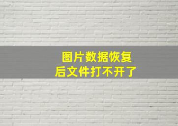 图片数据恢复后文件打不开了