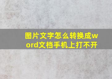 图片文字怎么转换成word文档手机上打不开