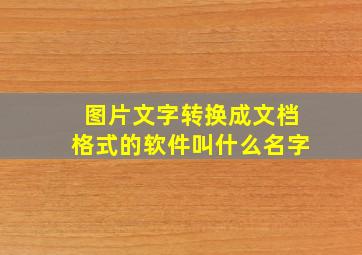 图片文字转换成文档格式的软件叫什么名字