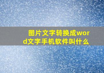 图片文字转换成word文字手机软件叫什么