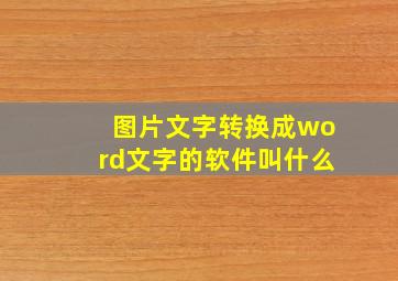 图片文字转换成word文字的软件叫什么