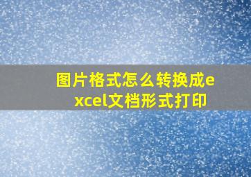 图片格式怎么转换成excel文档形式打印