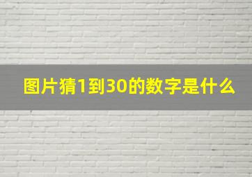 图片猜1到30的数字是什么