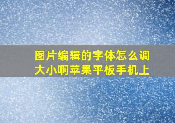 图片编辑的字体怎么调大小啊苹果平板手机上