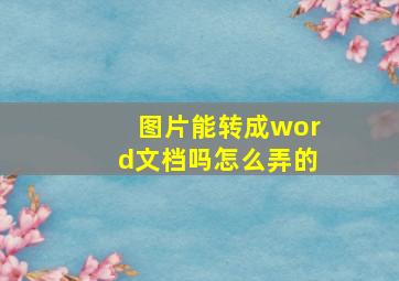 图片能转成word文档吗怎么弄的