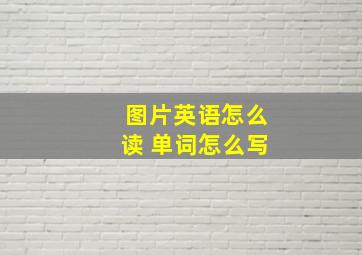 图片英语怎么读 单词怎么写