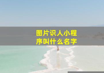 图片识人小程序叫什么名字