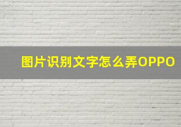 图片识别文字怎么弄OPPO