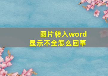 图片转入word显示不全怎么回事