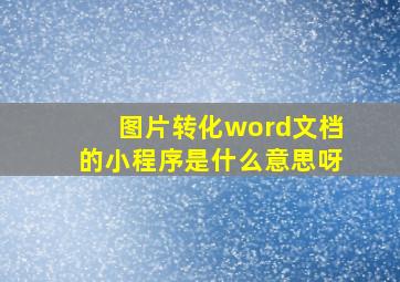 图片转化word文档的小程序是什么意思呀