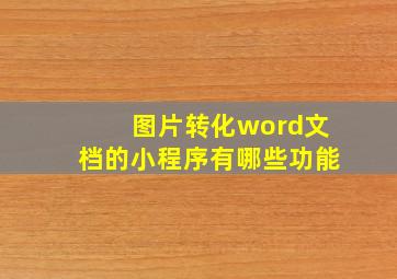 图片转化word文档的小程序有哪些功能