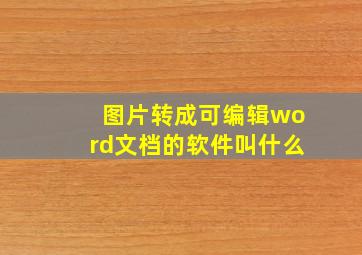 图片转成可编辑word文档的软件叫什么