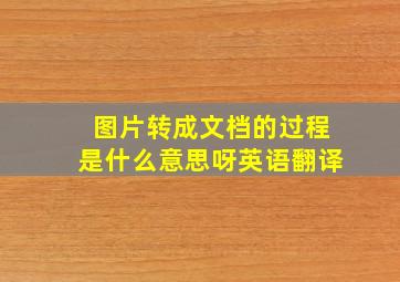 图片转成文档的过程是什么意思呀英语翻译