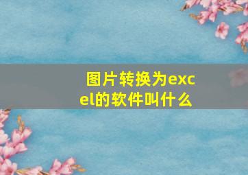 图片转换为excel的软件叫什么