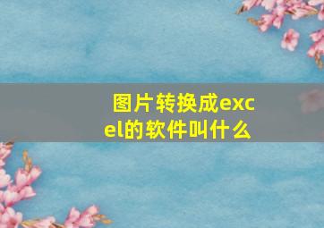 图片转换成excel的软件叫什么