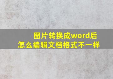 图片转换成word后怎么编辑文档格式不一样