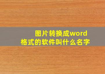 图片转换成word格式的软件叫什么名字